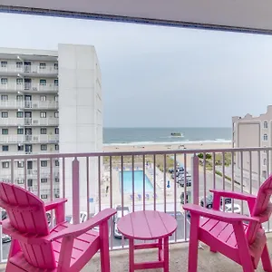 Flamingo ** Ocean City